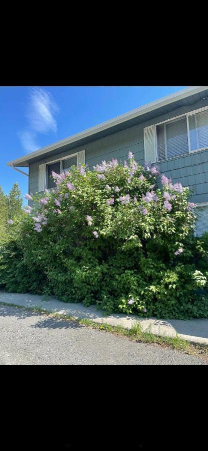 Lovely Two Bedroom, Minutes Away From Downtown Anchorage Exteriör bild